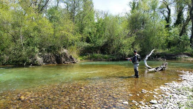 Pêche en rivière